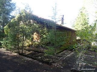 Case Zampini